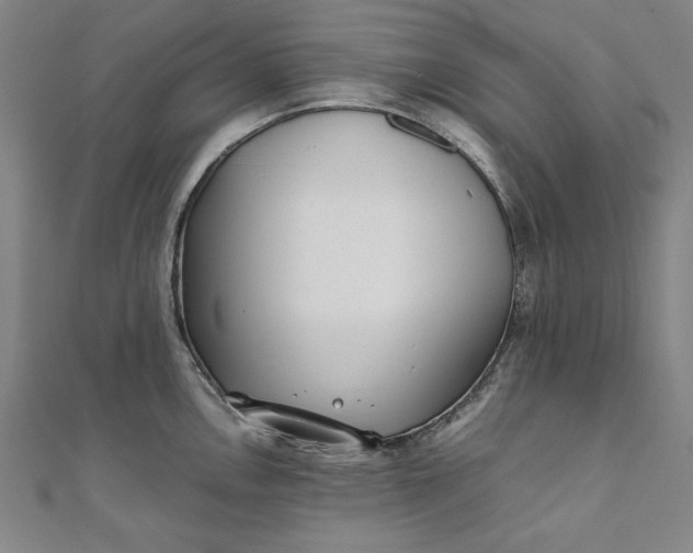 X0000111921146200908031159