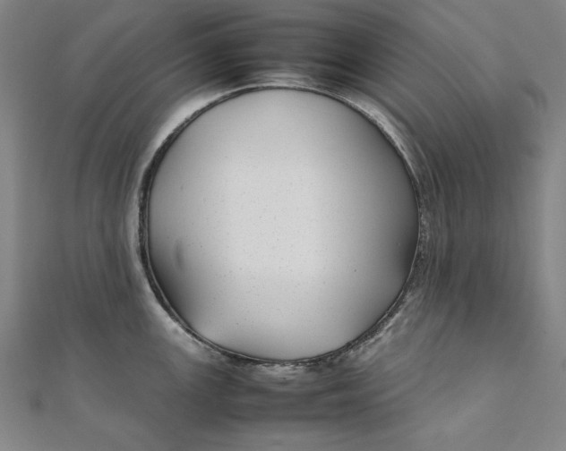 X0000111921147200908031159