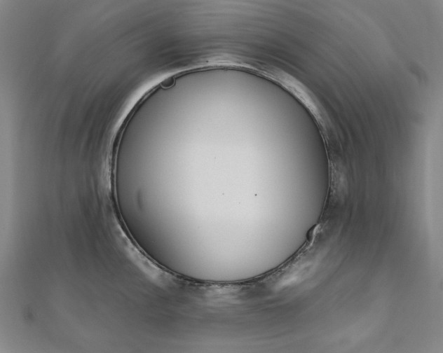 X0000111921148200908031159