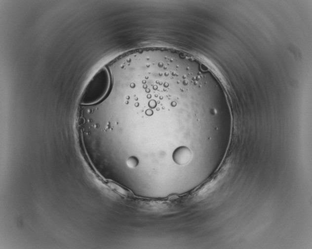 X0000111921149200908031159