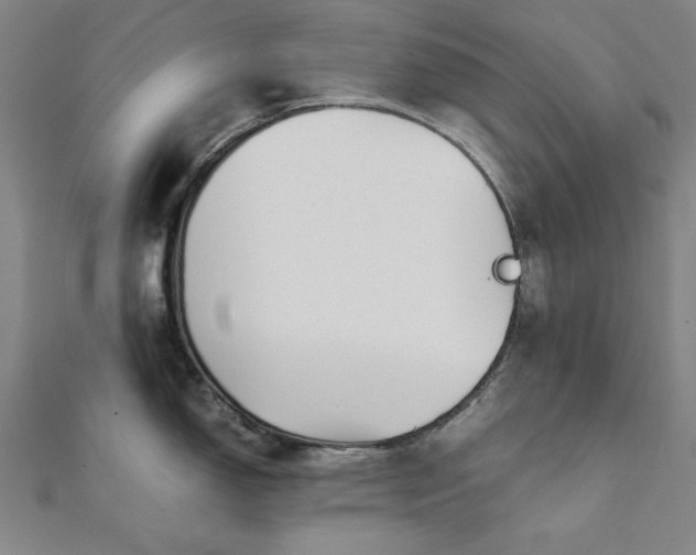 X0000111921150200908031159