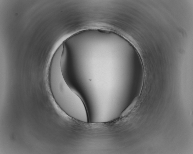 X0000111921152200908031159