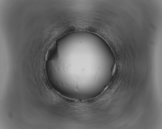 X0000111921153200908031158
