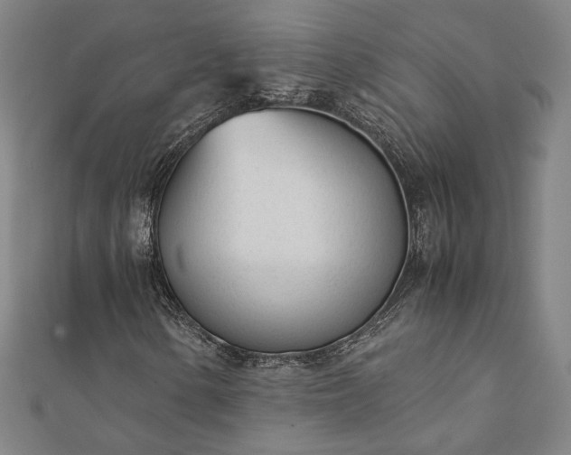 X0000111921154200908031158