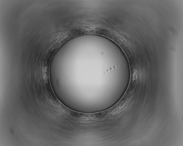 X0000111921156200908031158