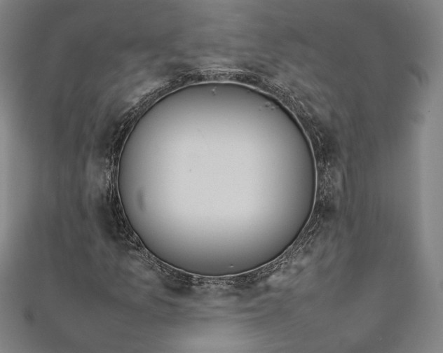 X0000111921157200908031158