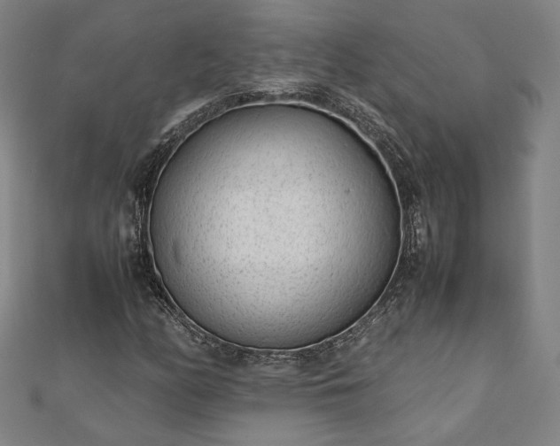 X0000111921158200908031158
