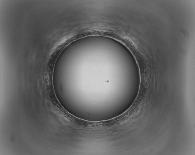 X0000111921159200908031158