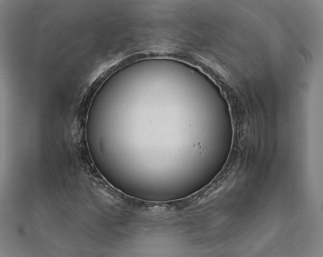 X0000111921160200908031158