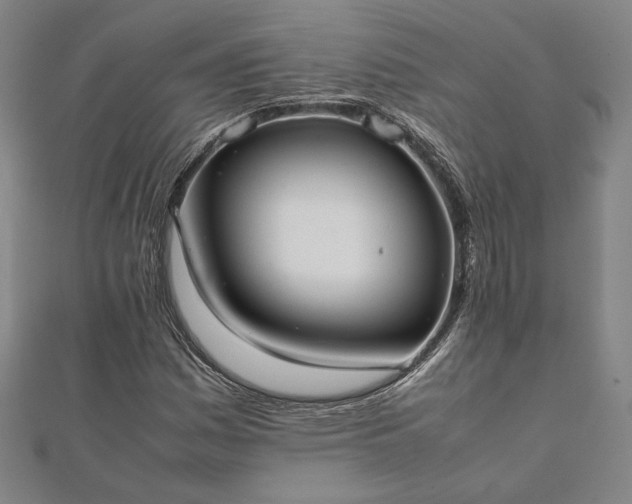 X0000111921161200908031158