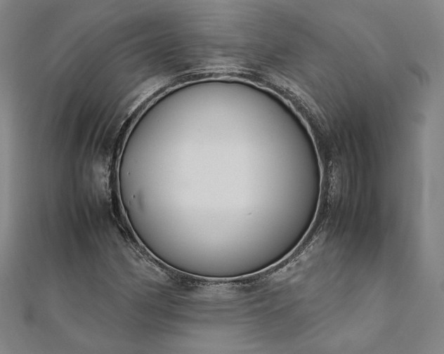 X0000111921162200908031158
