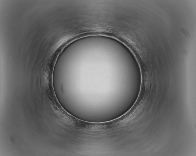 X0000111921163200908031158