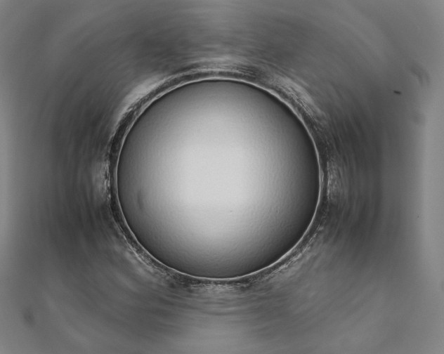 X0000111921164200908031158