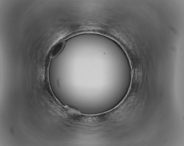 X0000111921165200908031158