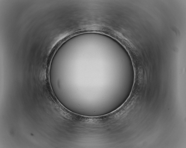 X0000111921166200908031158