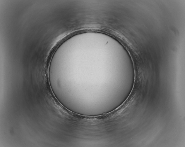 X0000111921168200908031158