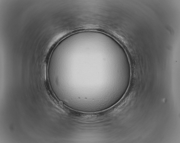 X0000111921171200908031158