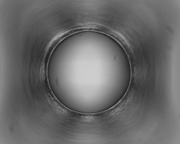 X0000111921172200908031158