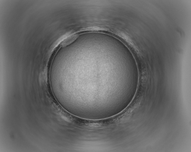X0000111921173200908031158