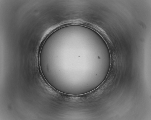 X0000111921176200908031158