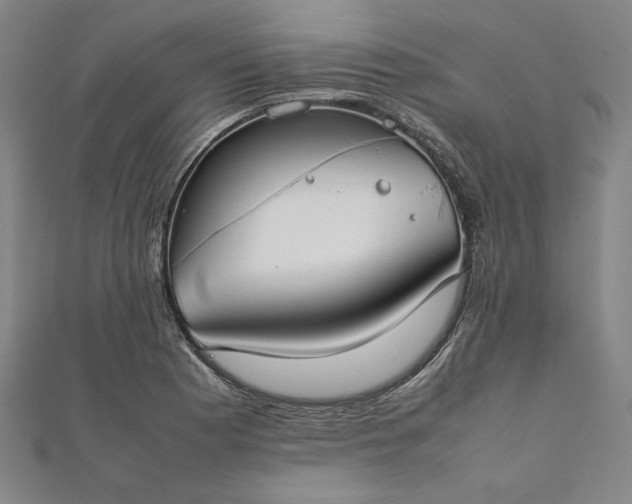 X0000111921177200908031158