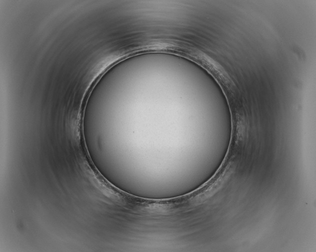 X0000111921178200908031158