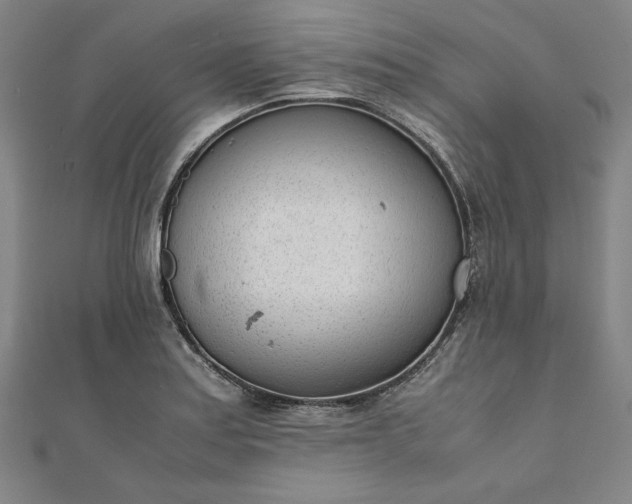X0000111921179200908031158