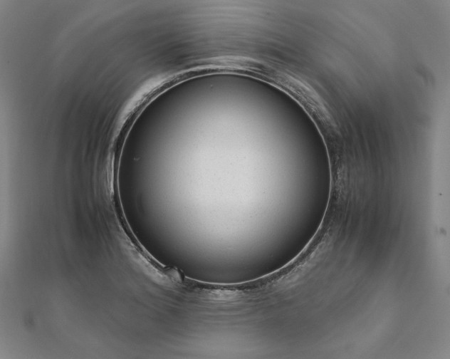X0000111921180200908031158