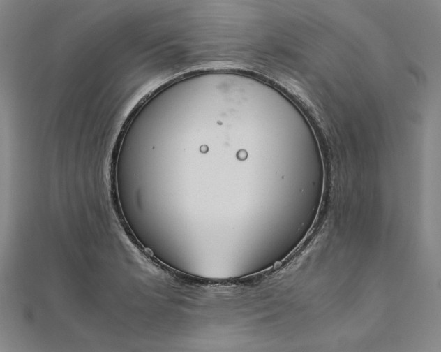 X0000111921181200908031158