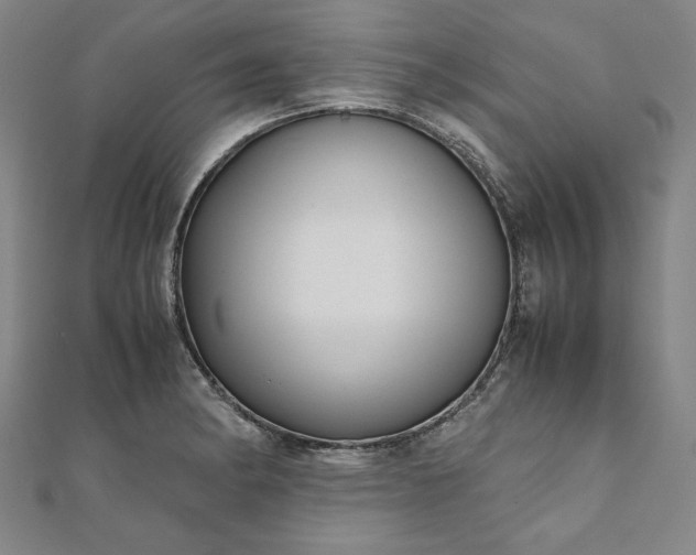 X0000111921182200908031158