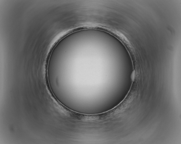 X0000111921183200908031158