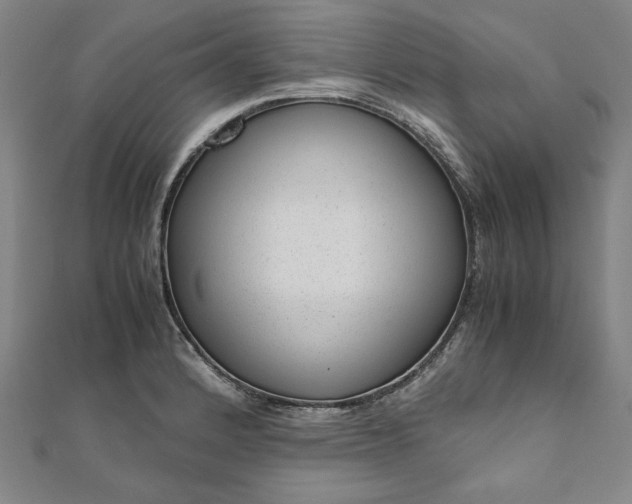 X0000111921184200908031158