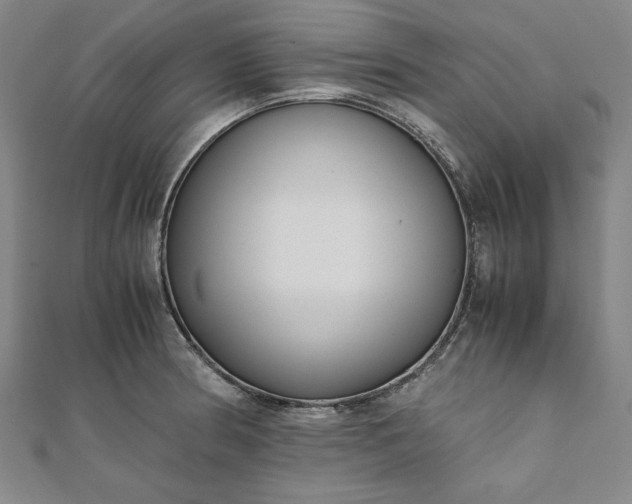 X0000111921186200908031158
