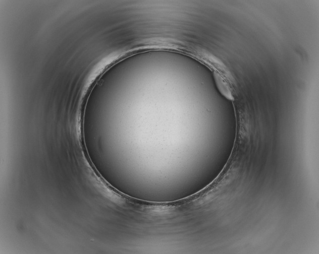 X0000111921188200908031158
