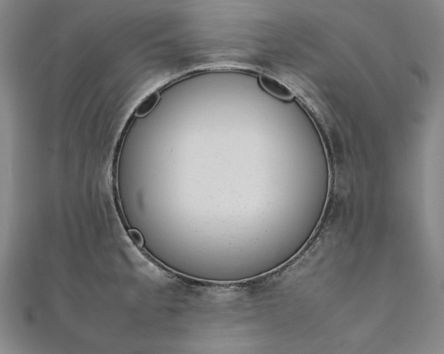 X0000111921189200908031158
