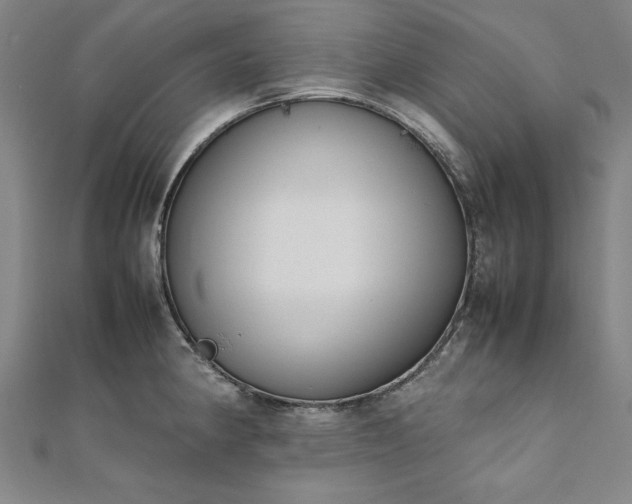 X0000111921190200908031158