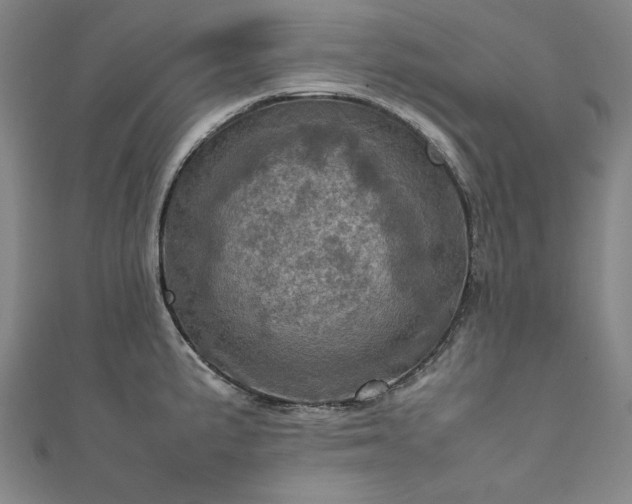 X0000111921191200908031158