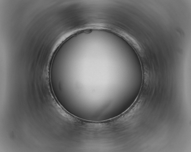 X0000111921192200908031158