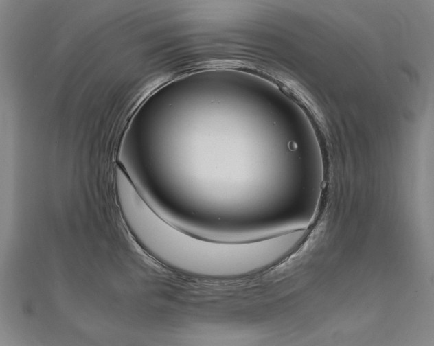 X0000111921193200908031158
