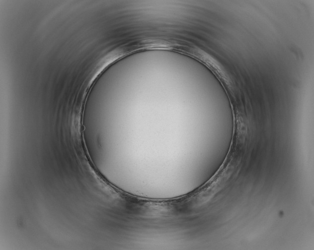 X0000111921194200908031158