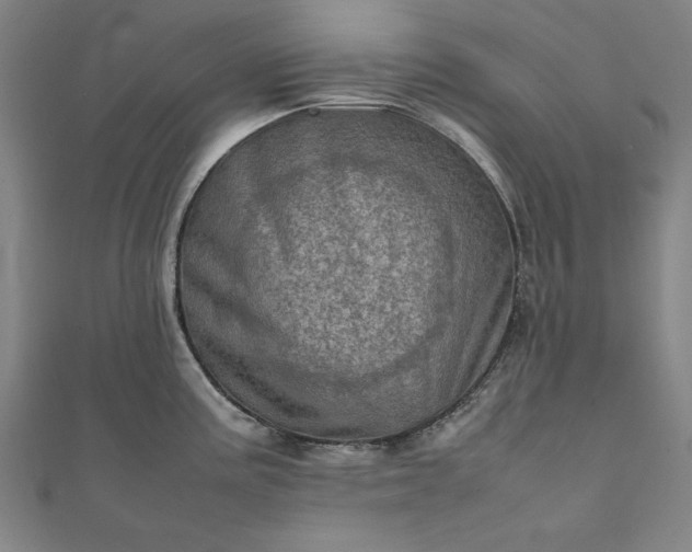 X0000111921195200908031158