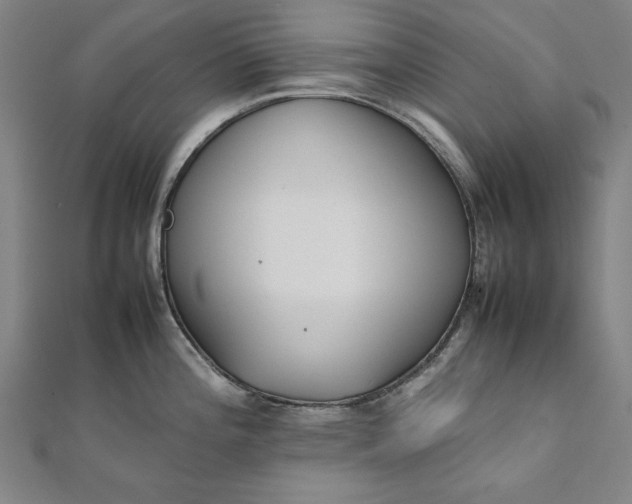X0000111921196200908031158