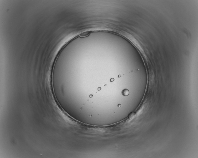 X0000111921197200908031158