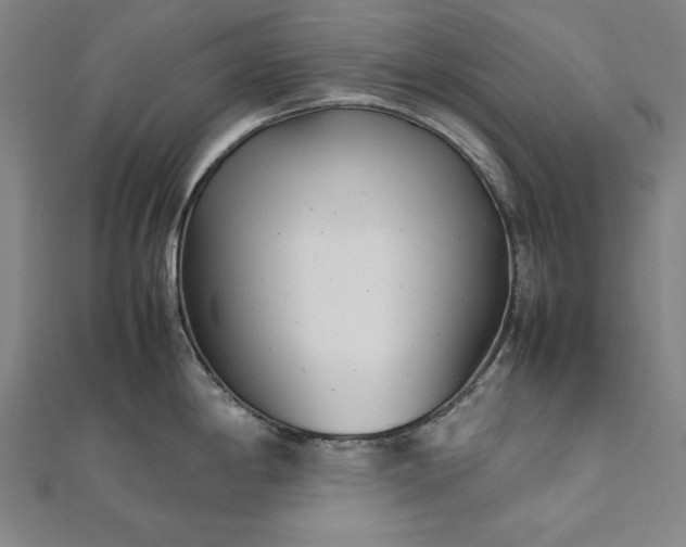 X0000111921198200908031158