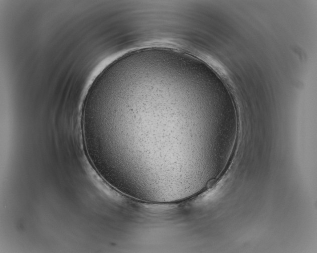 X0000111921200200908031158