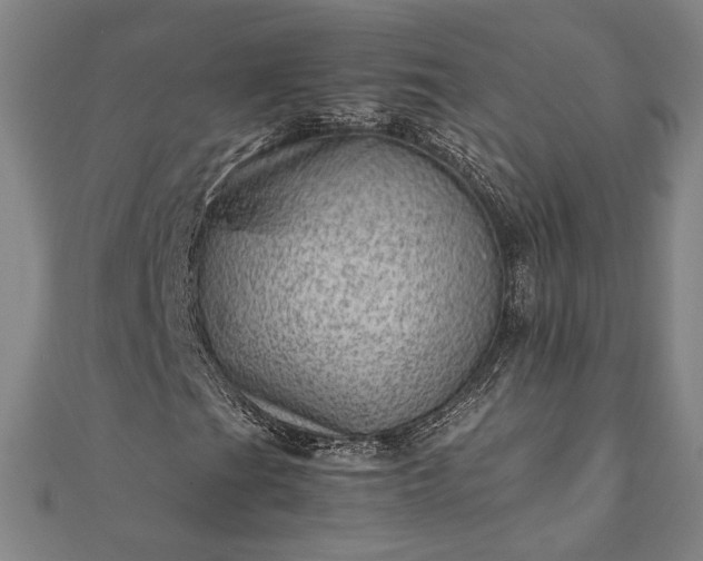 X0000111921201200908031157