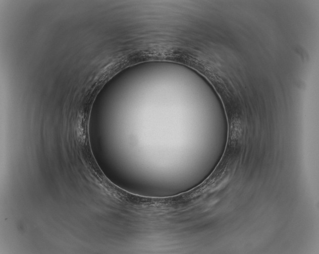 X0000111921202200908031157