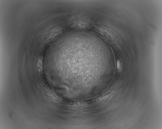 X0000111921203200908031157