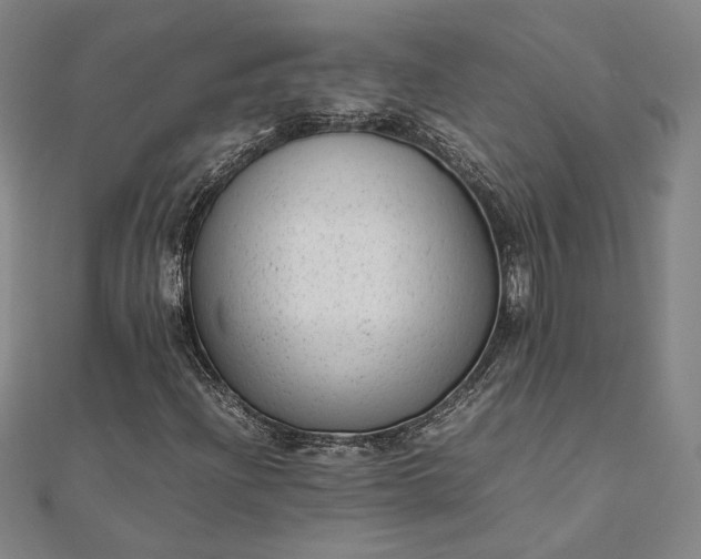 X0000111921204200908031157