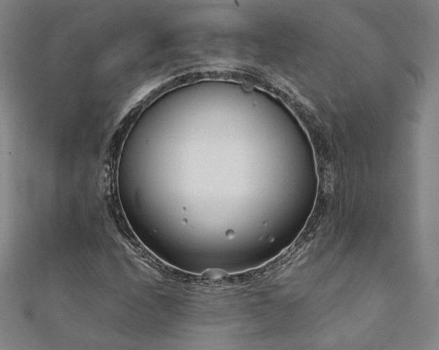X0000111921208200908031157